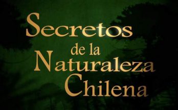 secretos de la naturaleza chilena
