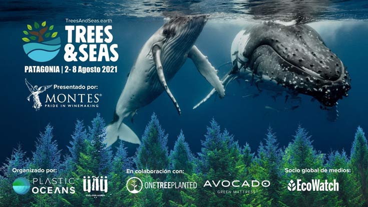 trees and seas afiche